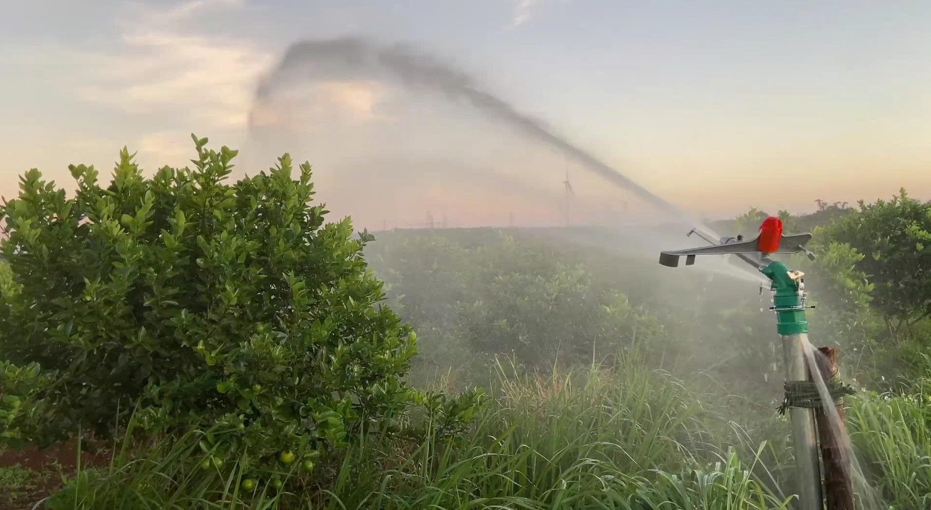 thiet bi tuoi nuoc aqua gun 1