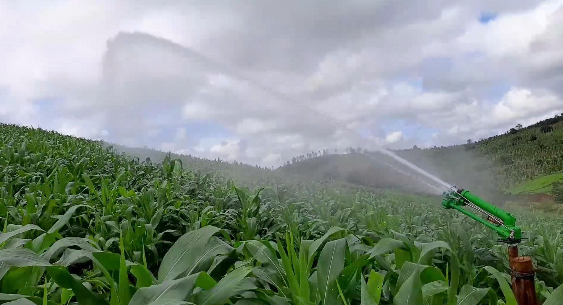 thiet bi tuoi nuoc aqua gun 2